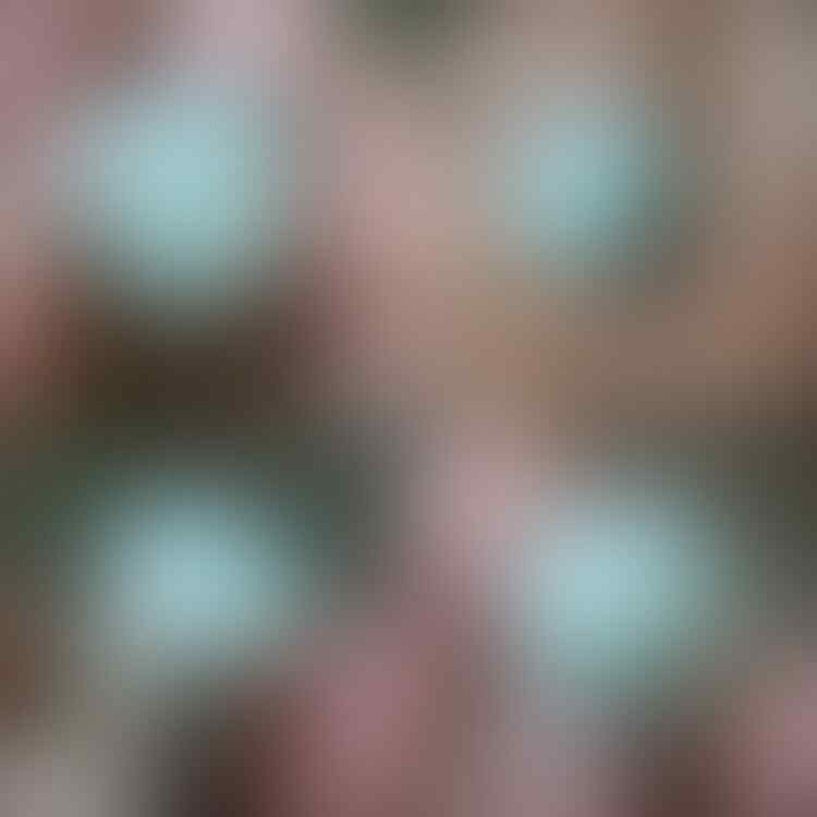 LELANG #528 = 41pcs SINGKAT!! CLOSE MINGGU 18/07 @22:12