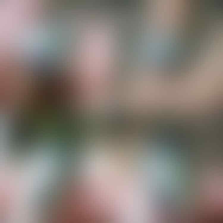 LELANG #528 = 41pcs SINGKAT!! CLOSE MINGGU 18/07 @22:12