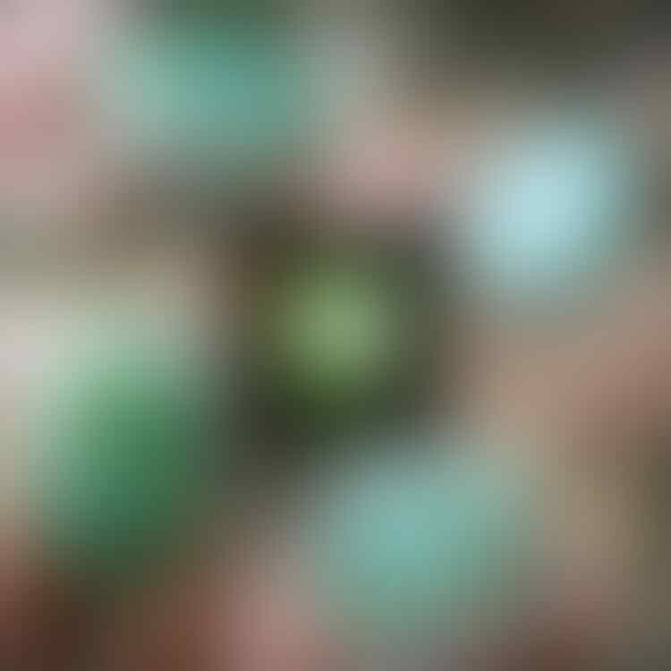 LELANG #528 = 41pcs SINGKAT!! CLOSE MINGGU 18/07 @22:12