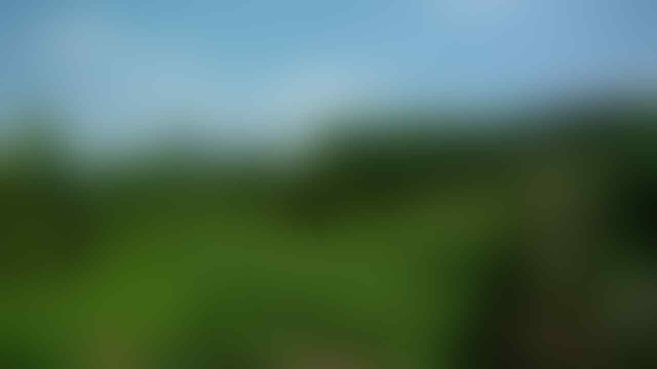 kaskus-image