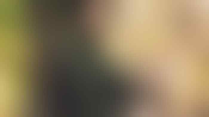 Ternyata Ini Alasan Mengapa Pria Sangat Menyukai Bagian Payudara Wanita
