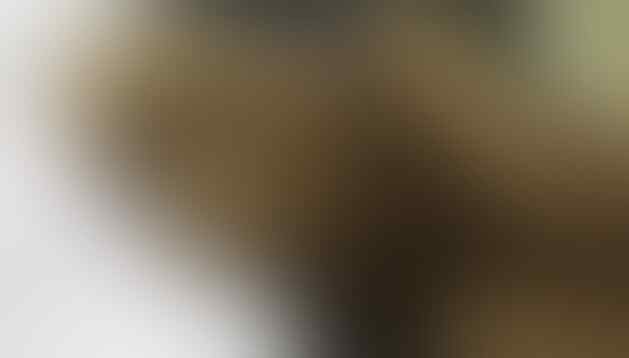 Penemuan Mumi Dengan Posisi "Sedang Menutup Wajah" Ditemukan di Cajamarquilla, Peru