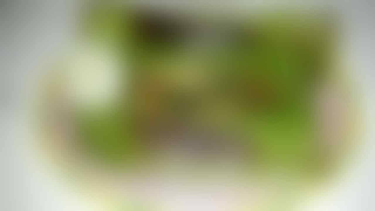 kaskus-image