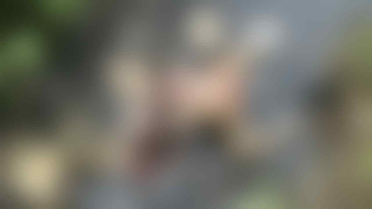 Mayat Bayi Ditemukan Warga Pamekasan, Kondisinya Mengenaskan