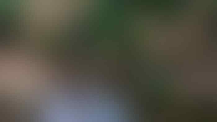 Cerita Sendang Pancuran Banyudono yang Terkenal Angker, Ada Mitos Kobra Putih