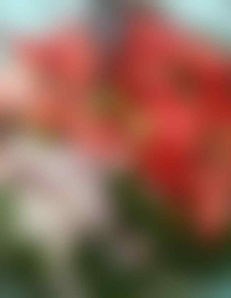 kaskus-image