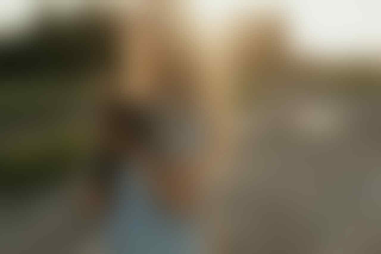 Manfaat Memelihara Hewan Untuk Kesehatan Fisik dan Batin