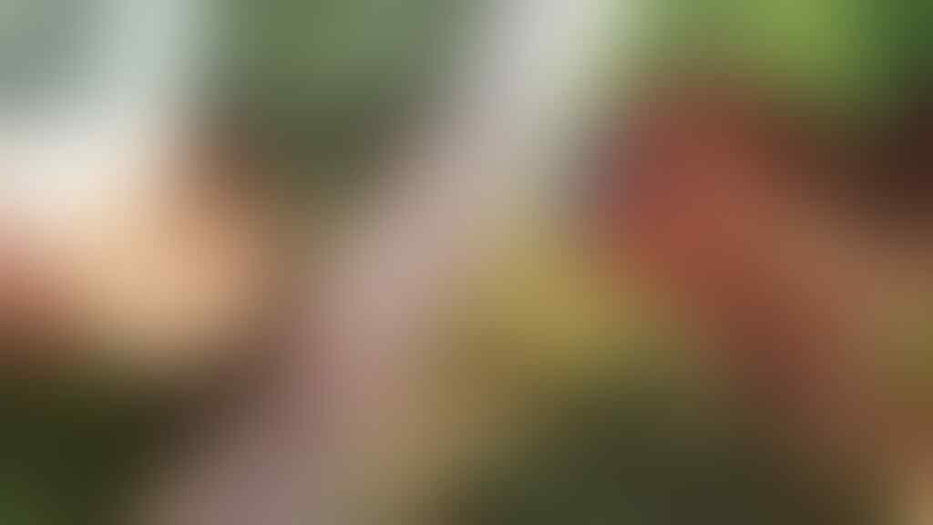 4 Jawaban Kenapa Daerahmu Kebanjiran