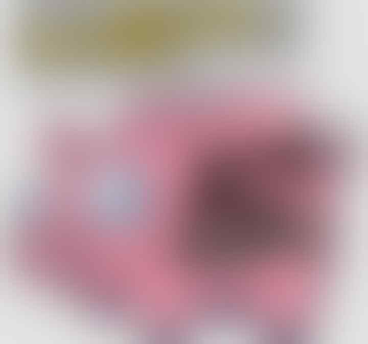 Menghilang, ACT Tak Selesaikan Pembangunan Huntara untuk Penyintas Erupsi Semeru