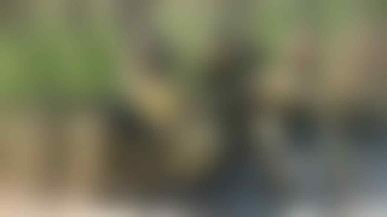 Tentara Ukraina yang Kreatif Memasang Senjata Anti Tank Pada Sidecar Sepeda Motor