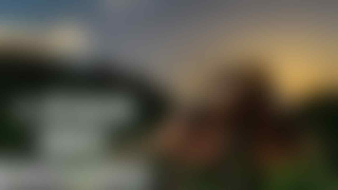 4 Hewan Mirip DINOSAURUS