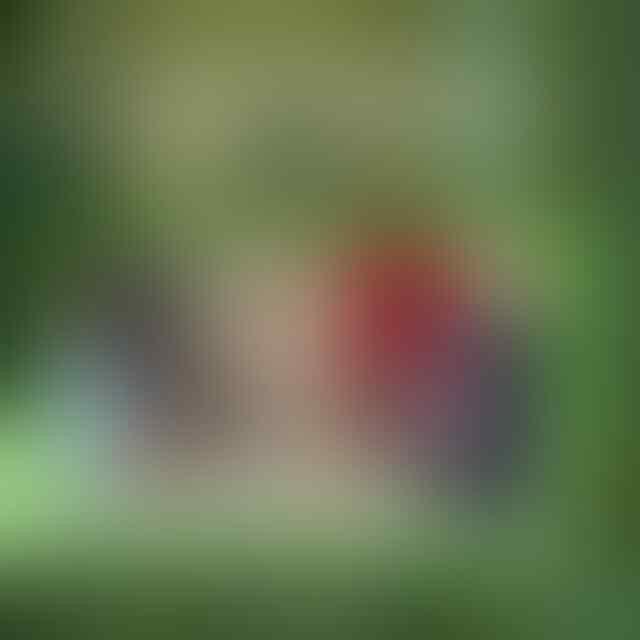 Cabuli Muridnya, Oknum Guru Ngaji di Lotim Jadi Tersangka
