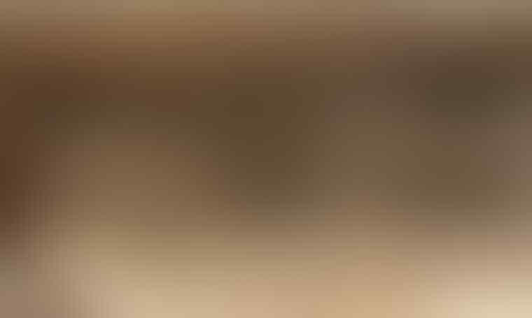 10 Ritual Seks yang Tak Biasa dari Seluruh Dunia