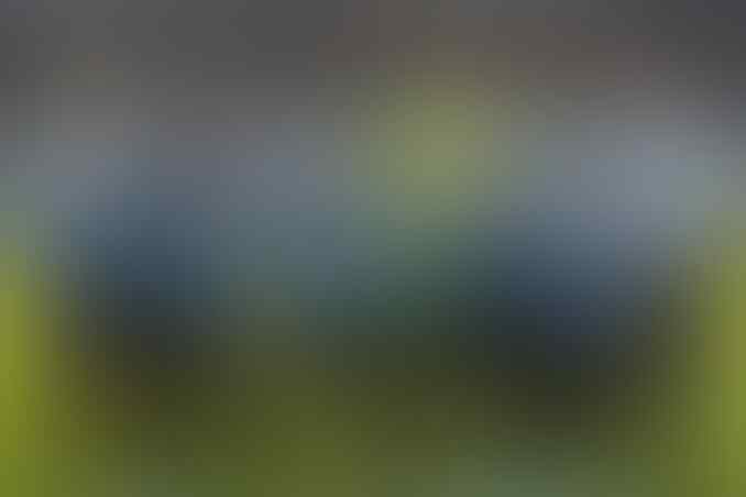 Patut Dicontoh Indonesia! Ini 10 Kontestan Piala Dunia Dengan Pemain Abroad Terbanyak