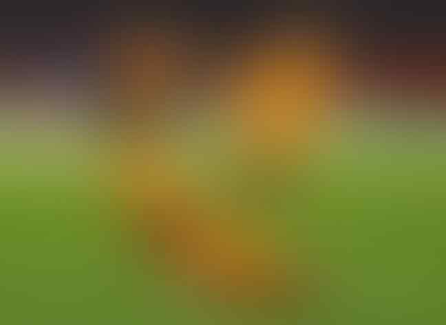 Susahnya Belanda Mengalahkan Senegal, Red Alert Buat Tim Oranye!
