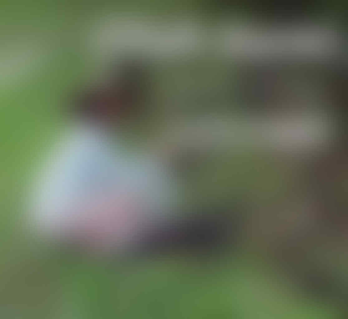 Selain Olahraga, Apa Lagi Yang Harus Kita Olah? Berikut Penjelasannya!