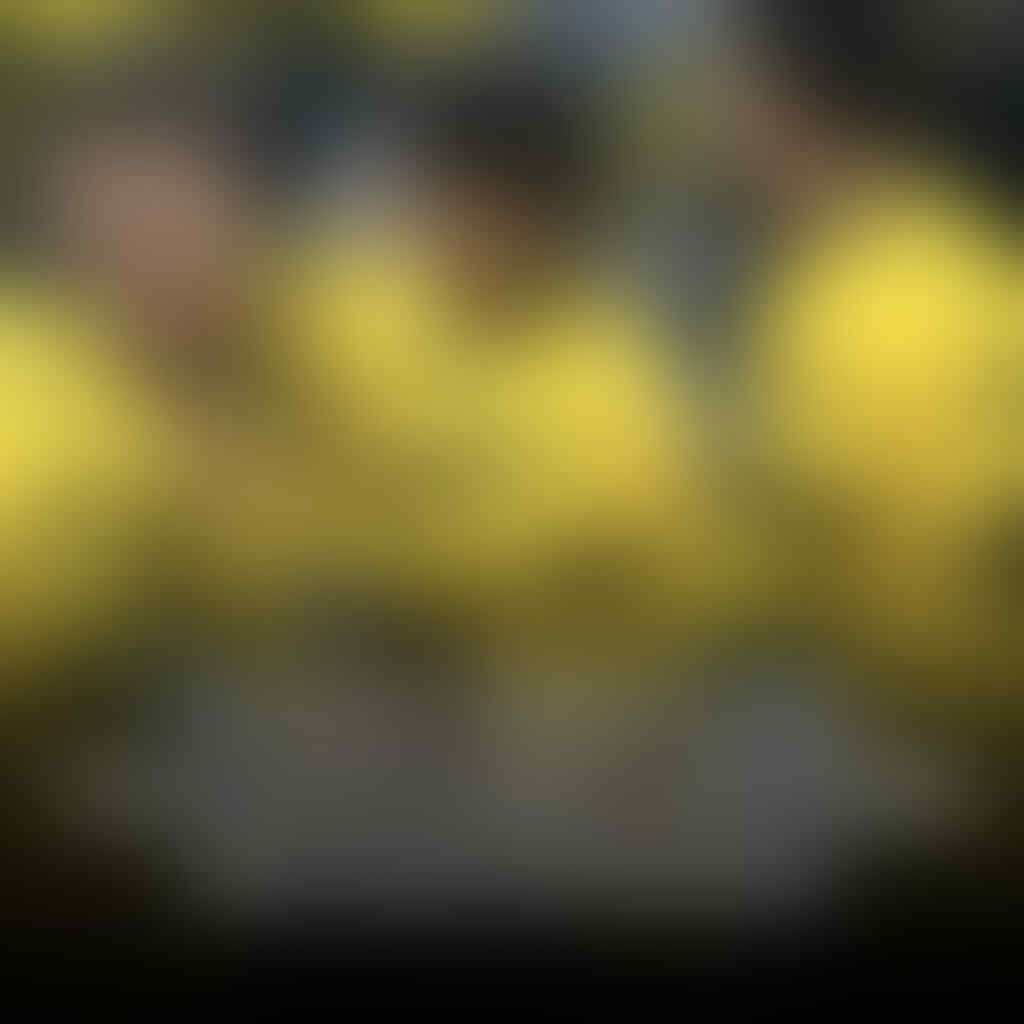 Pemain Tertua Yang Turut Serta Dalam Membela Borussia Dortmund