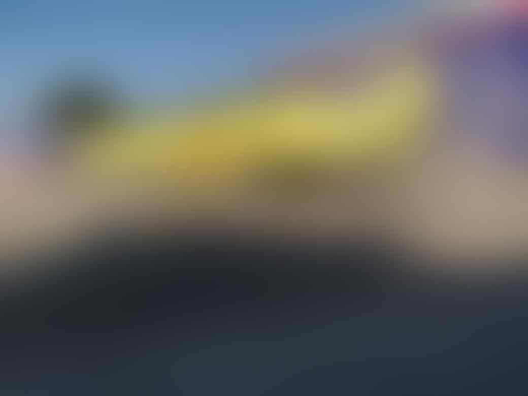 Turkiye Punya Azab, Drone Kamikaze yang Bakal Memberi Azab Bagi Musuh-Musuh Turkiye