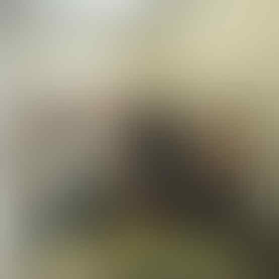 Reynhard Sinaga Maho yang Dapat Julukan Pemerkosa Berantai Terbesar di Dunia