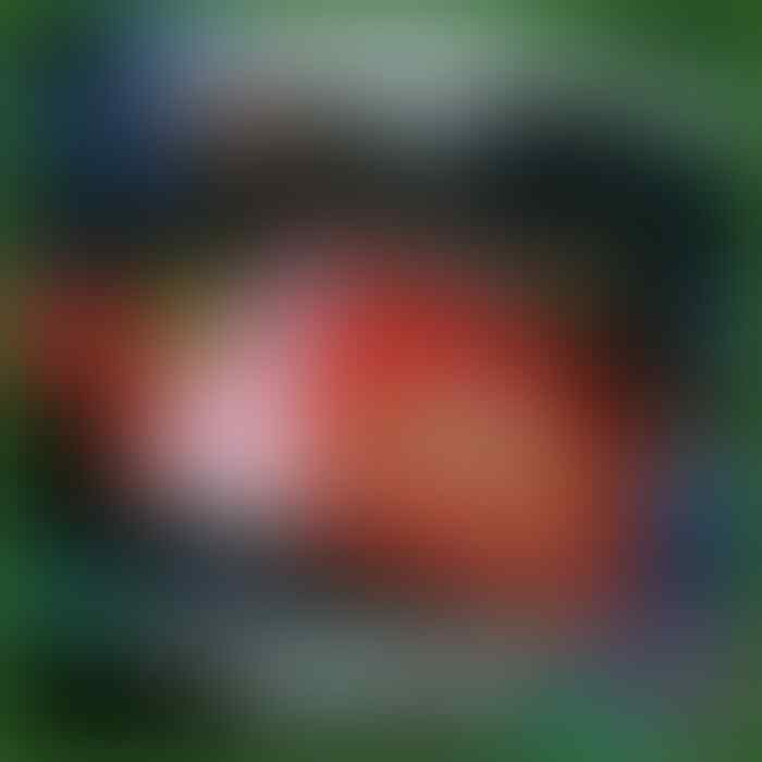 Gadis, Bule, dan Burung Pipit (17+)