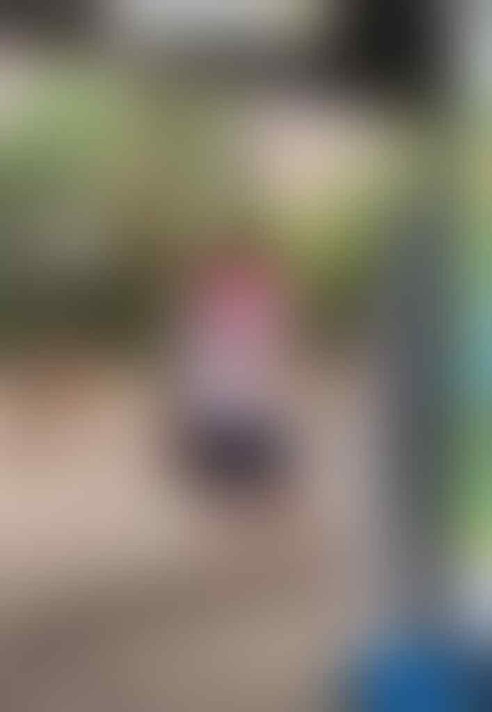 kaskus-image