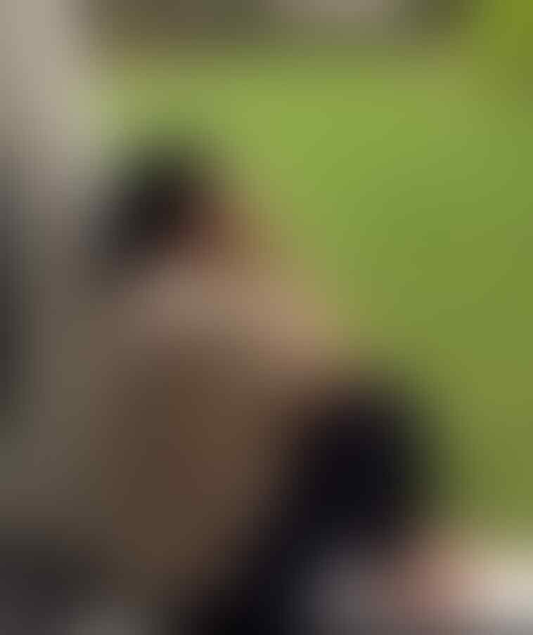 kaskus-image