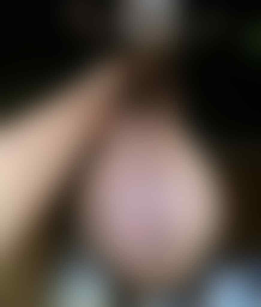 10 Potret Saintifik yang Menunjukkan Bagaimana Wujud Hewan Ketika Pregnant