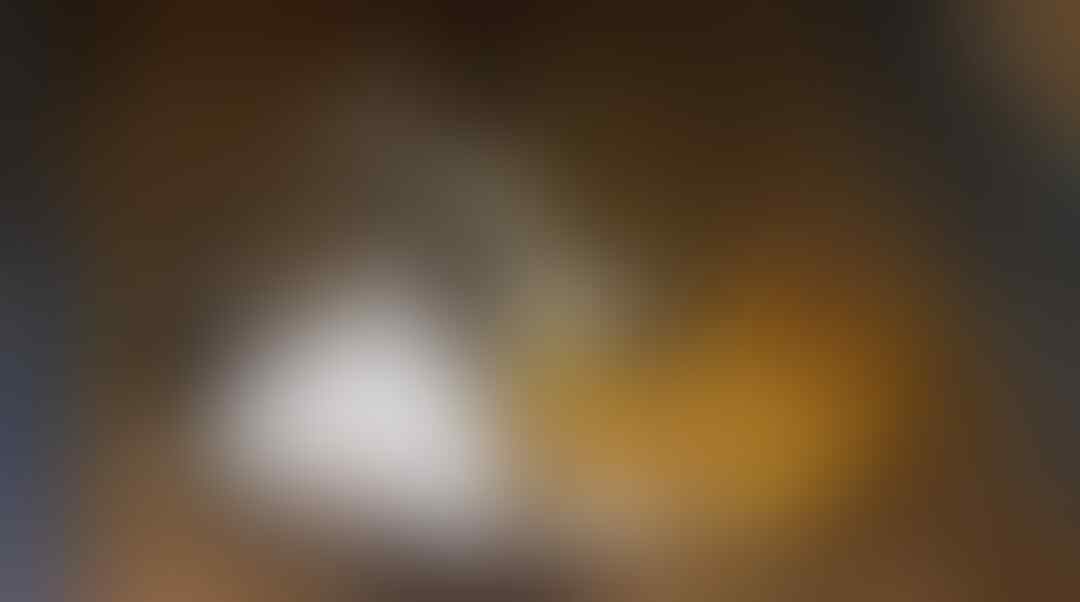 Ibu Kucing yang Merawat Bebek Hingga Dewasa ini Akan Memberikanmu Pelajaran Hidup