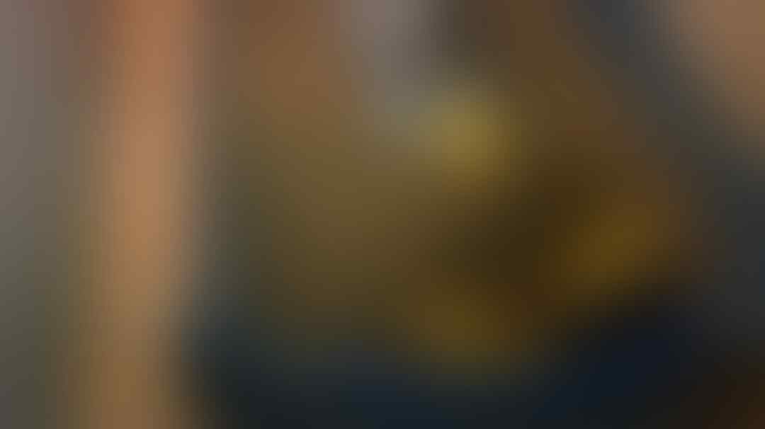 Ibu Kucing yang Merawat Bebek Hingga Dewasa ini Akan Memberikanmu Pelajaran Hidup