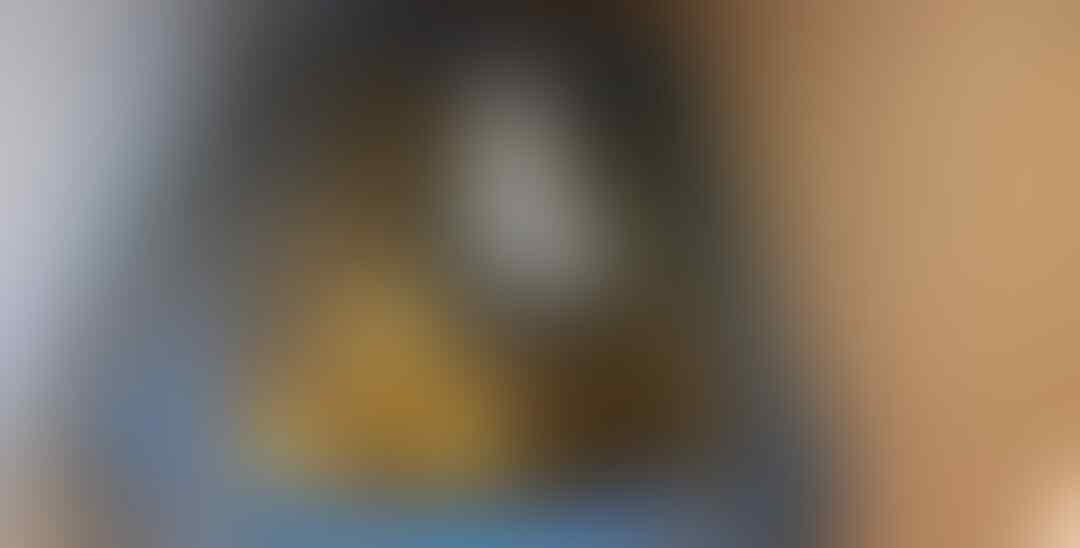 Ibu Kucing yang Merawat Bebek Hingga Dewasa ini Akan Memberikanmu Pelajaran Hidup