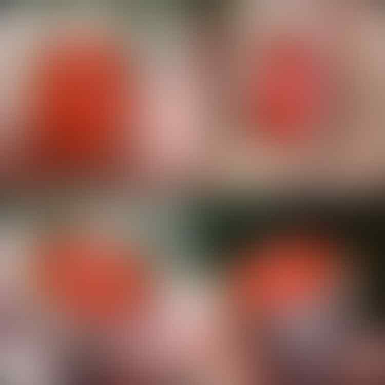 kaskus-image