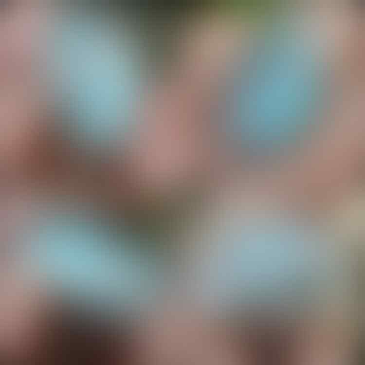 kaskus-image