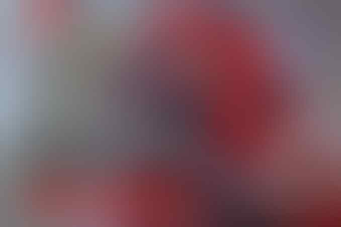 Saat Wacana Peringatan Darurat Bergelora, Tokoh Ini malah Katakan RI Baik-baik Saja!