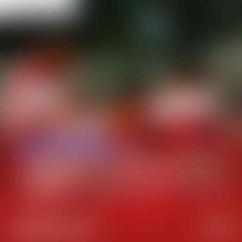 PSSI Kena Sentil DPR: Percuma Timnas Indonesia Melambung Jika Pondasinya Keropos
