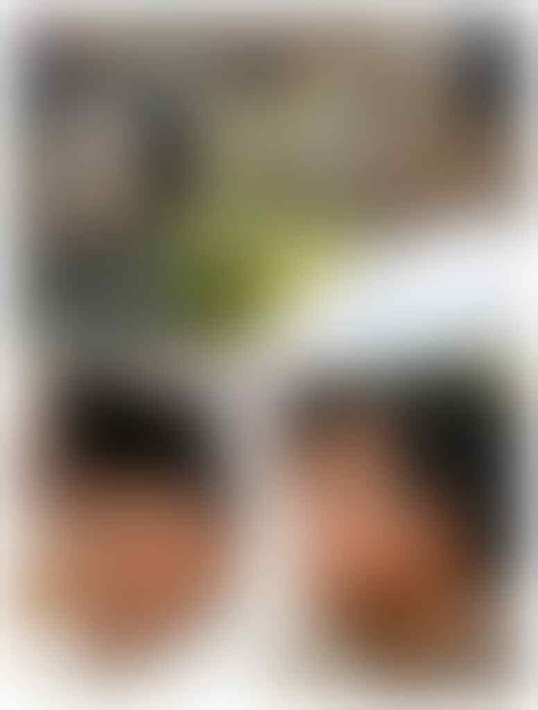 Auto Sibuk Blusukan di Jakarta, Gibran Kini Lagi 'Pelototi' Kawasan Aglomerasi