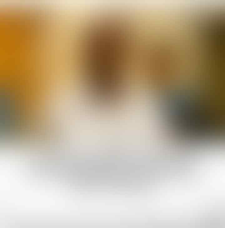 Di Swedia, Daun Kelor Jadi Pengganti Susu