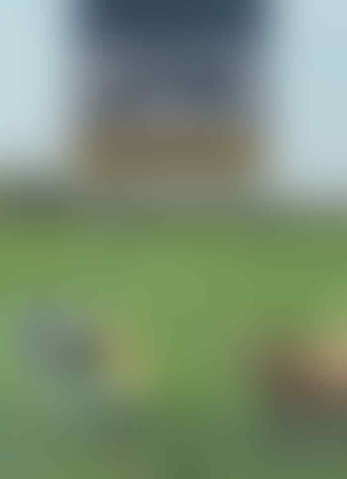 Hewan Ini Lucu Banget, Ada Aja Kelakuannya
