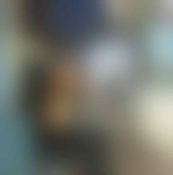 Hewan Ini Lucu Banget, Ada Aja Kelakuannya