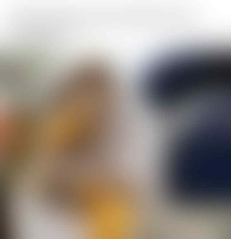 Foto Hewan Lucu & Absurd yg Ada di Internet, Udah Lihat Belum? 