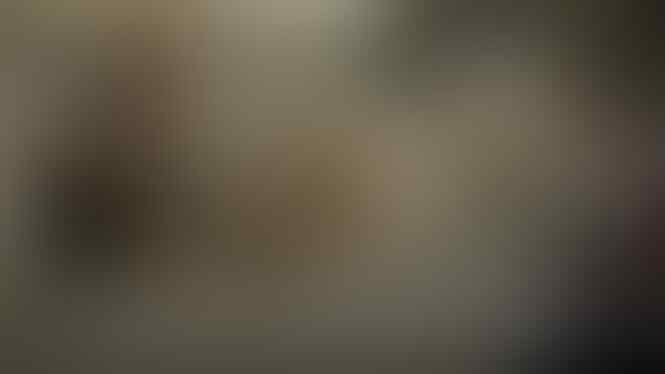 Sapi Suci India Jadi Masalah Besar, 5 Juta Ekor Berkeliaran Tanpa Pemilik di Jalanan