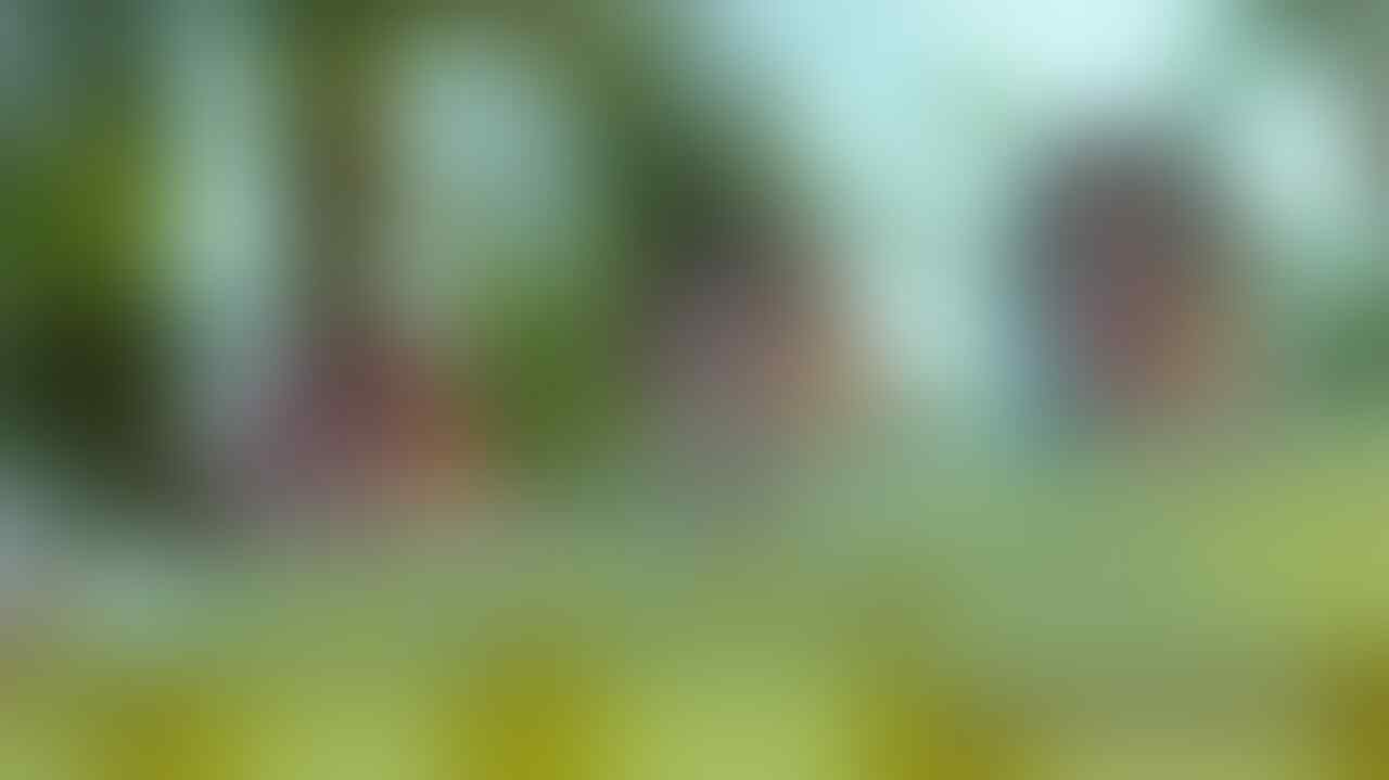kaskus-image