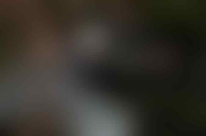 Dua Pemuda di Blitar Nekat Bobol Kotak Amal Kuburan, Isinya Cuma Rp60 Ribu