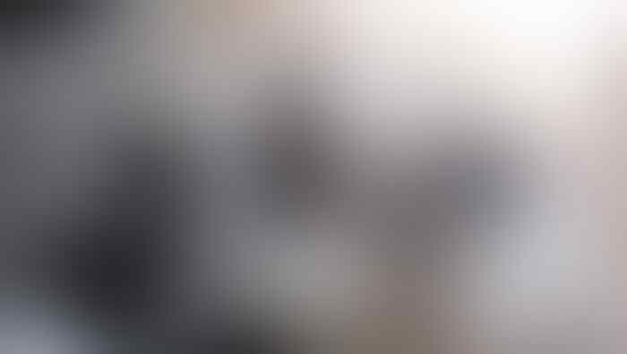 Gubernur DIY Gerak Cepat Atasi Isu Warung Daging Anjing di Bantul