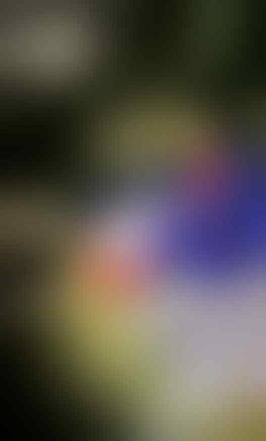 Sejoli Karawang Lakban Mulut Bayi yang Baru Lahir hingga Tewas