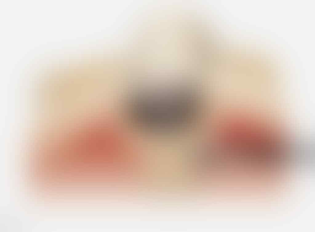 Mengenal Echidnas (Nokdiak), Hewan Paling Aneh di Dunia