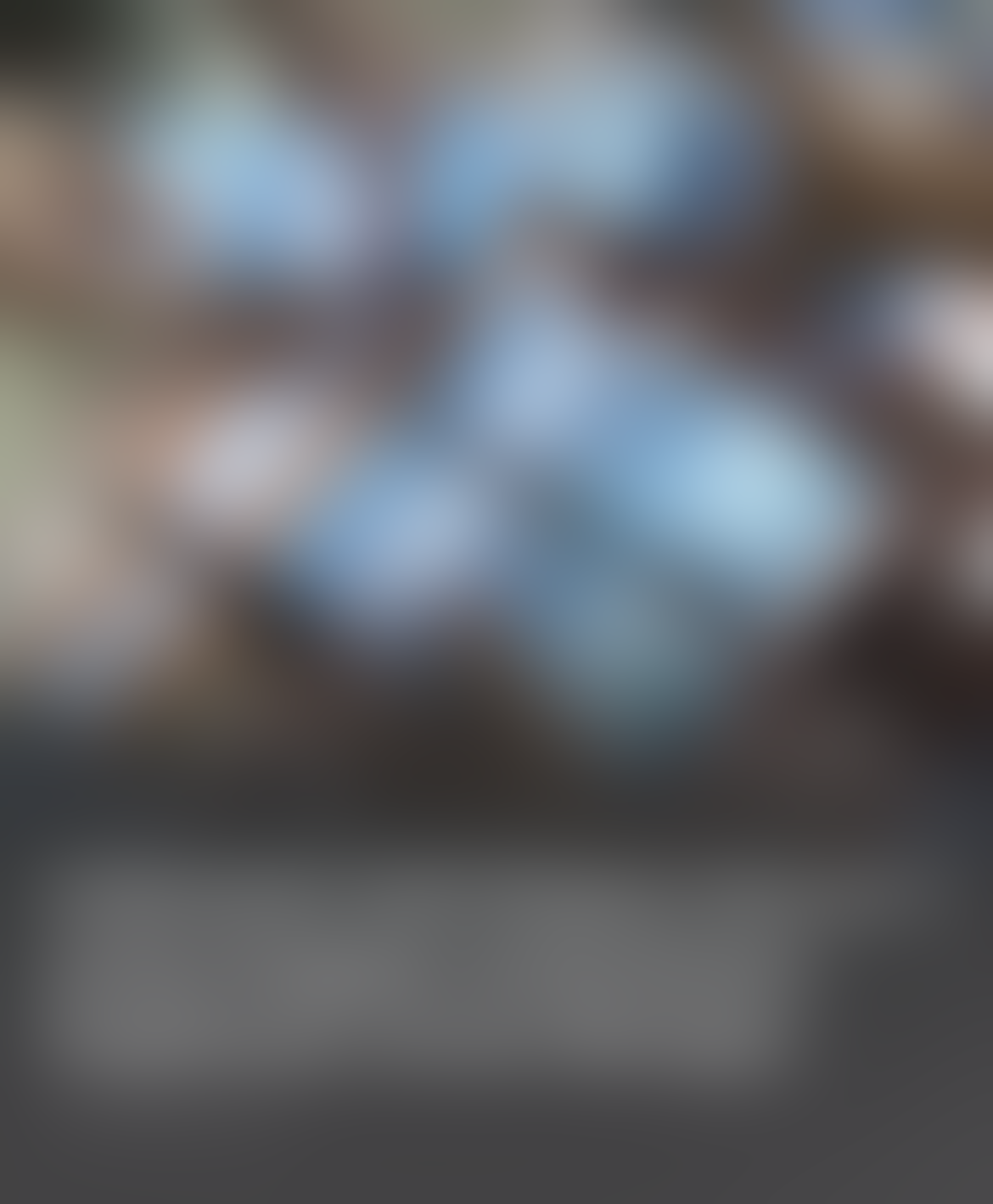 Indonesia Negara Nomor 1 yang Anggap Uang Bukan Segalanya untuk Mencapai Kebahagiaan 