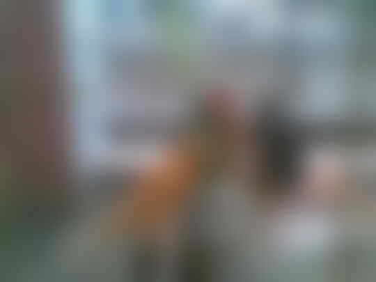 Terjual Jual Burung Kacer Priangan Asli Gacor Dan Anis Kembang