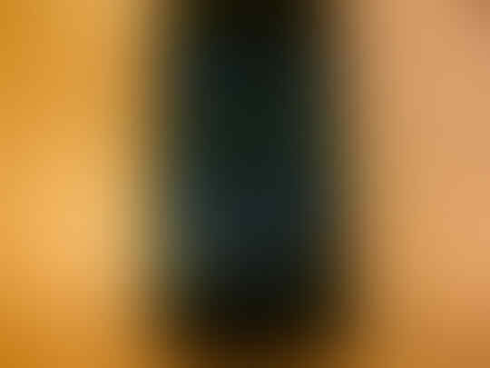 Samsung Nexus Google I9250