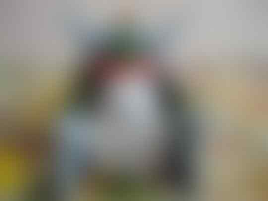 jual dragon ball chodam saichou (petinggi namek) RARE secret