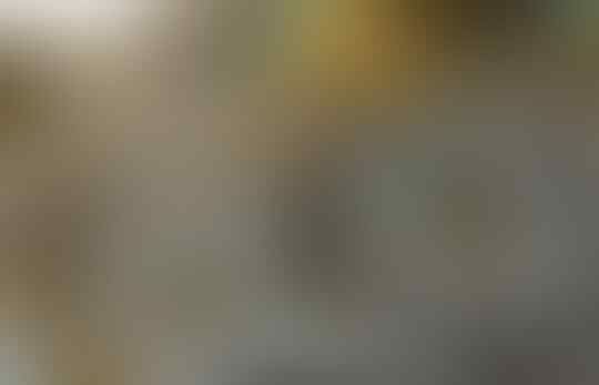 Beginilah Penderita Buta Warna Melihat Dunia